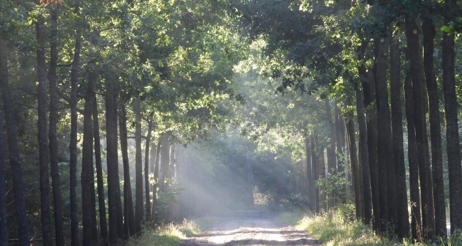 Dierencrematorium Amersfoort